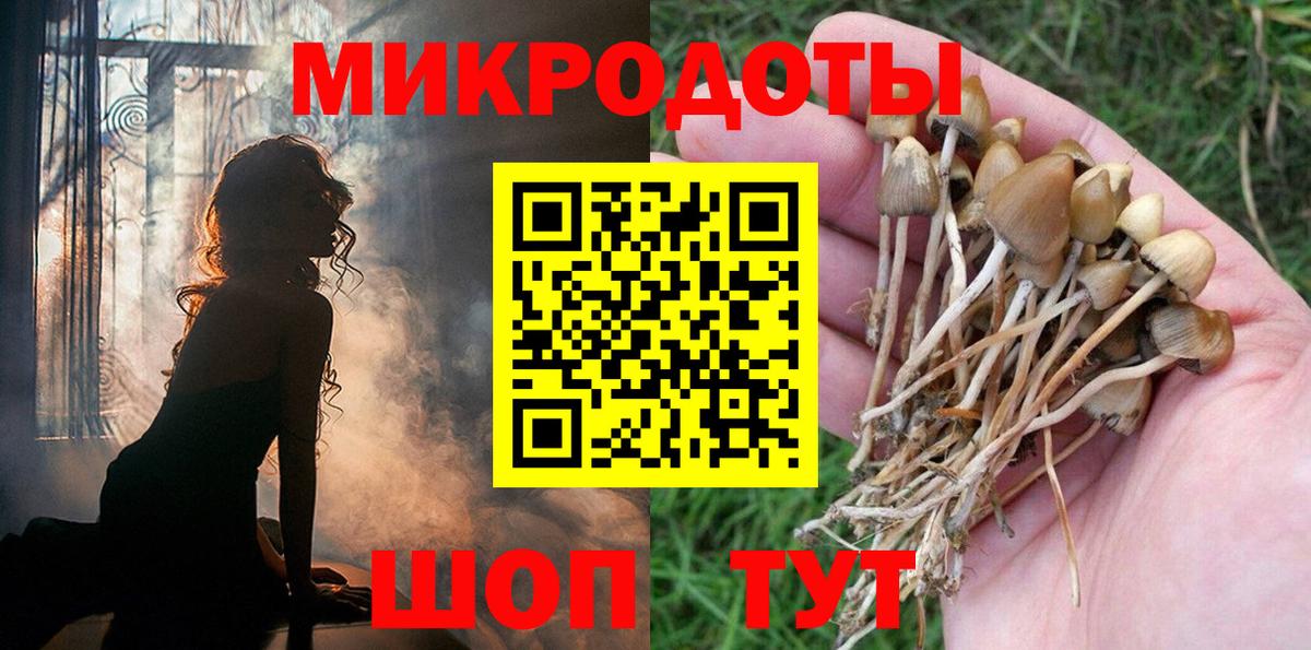 Кандалакша  Псилоцибиновые грибы ЛСД  Вход с VPN 